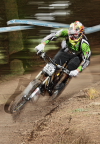 mountain bikes